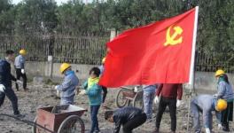 寧波海螺水泥公司黨員突擊隊 “造綠色廠區，建美麗企業”