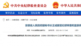 突發(fā)！海螺原董事長被查！