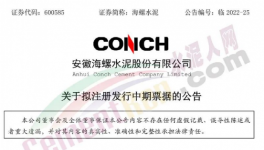 缺錢！海螺子公司“架空”！“借錢”100億 ！