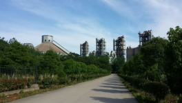 海螺全球最大水泥生產線來了！