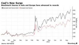 瘋了！這種原料價格破紀錄！水泥廠“哭了”！