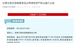 公告！多家水泥廠被賣！