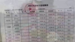 工資曝光！村長(zhǎng)“秒殺”水泥廠高管！