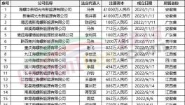 瘋狂！“上下”通吃！海螺連續成立50多家公司！